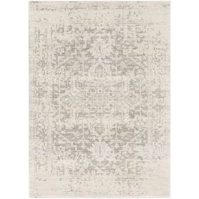 5' x 7' Distressed Oriental Area Rug in Light Grey / Beige